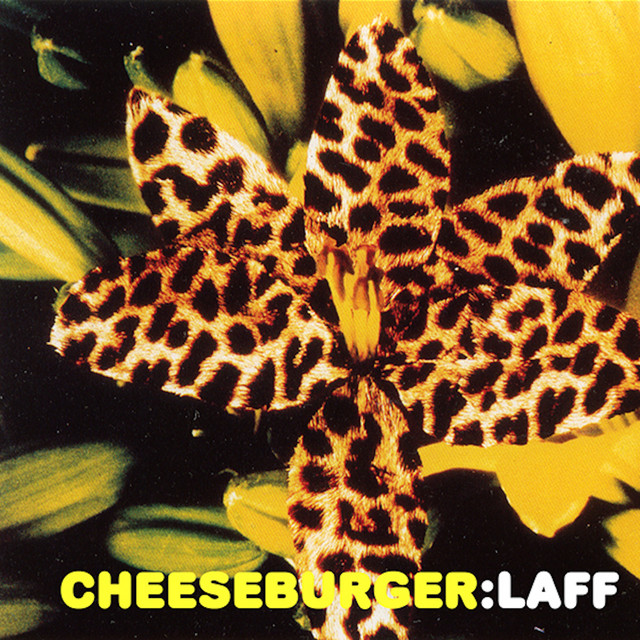 Laff cover art
