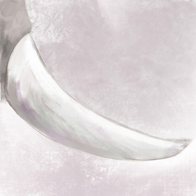 wist cover art