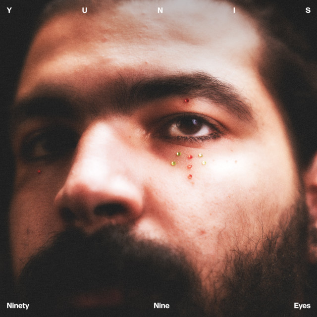 Ninety Nine Eyes cover art