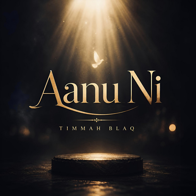 Aanu Ni cover art