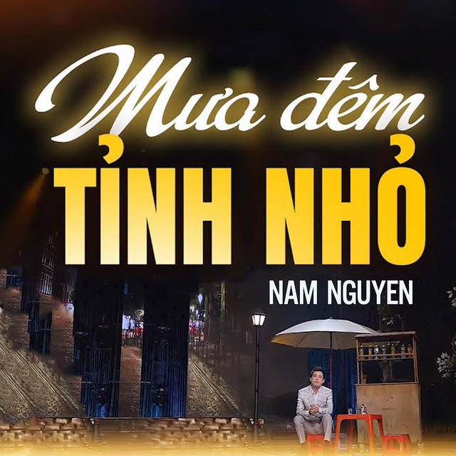 Mưa Đêm Tỉnh Nhỏ