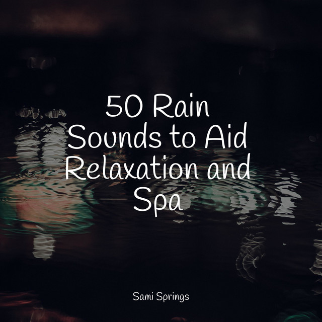 50 Rain Sounds to Aid Relaxation and Spa - Album by Relaxing Spa Music ...