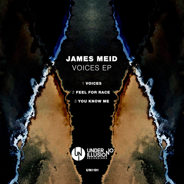 Voices album art