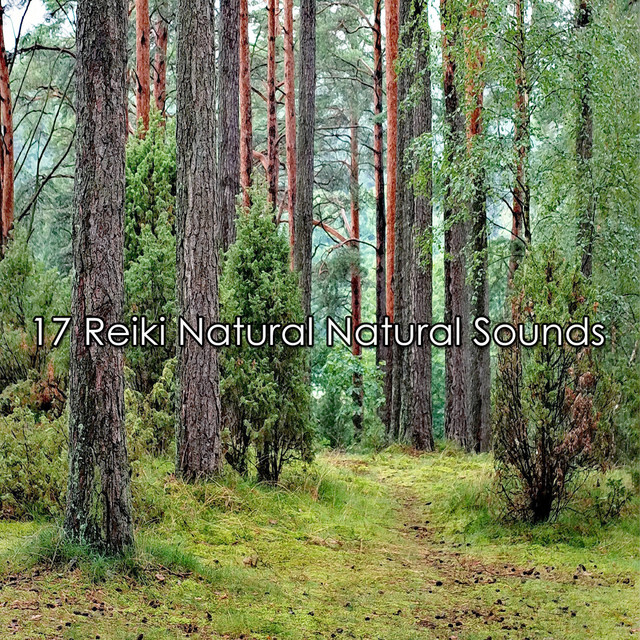 17 Reiki Natural Natural Sounds - Album by Kings of Nature | Spotify