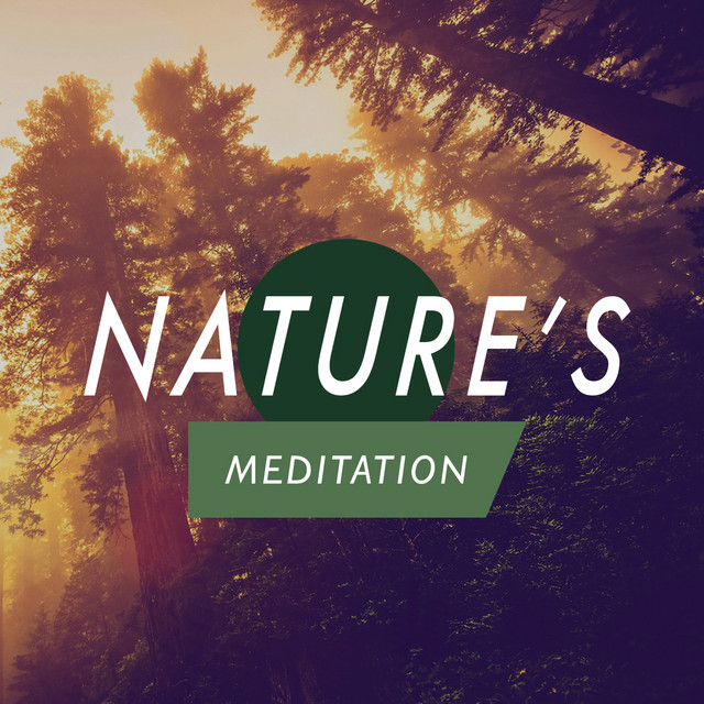 Nature's Meditation cover art