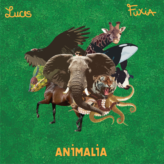 Animalia cover art
