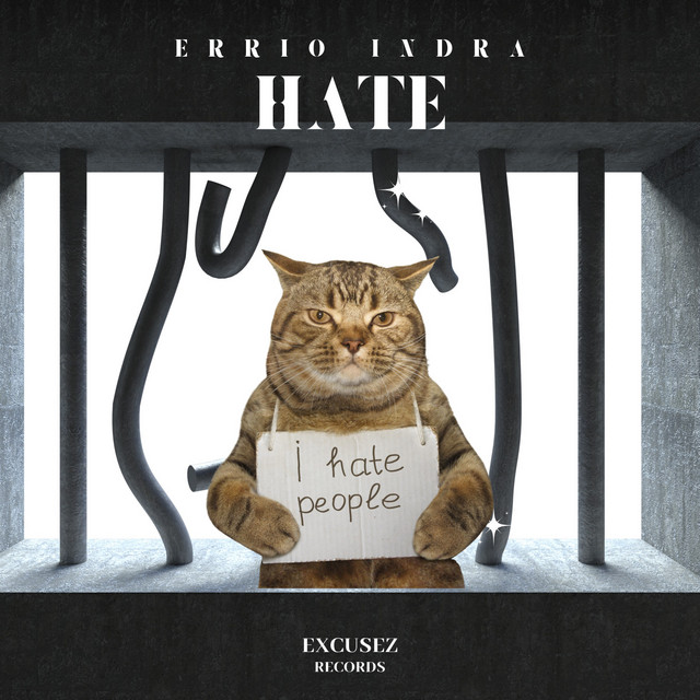 Обкладинка: Hate - Original Mix — Errio Indra