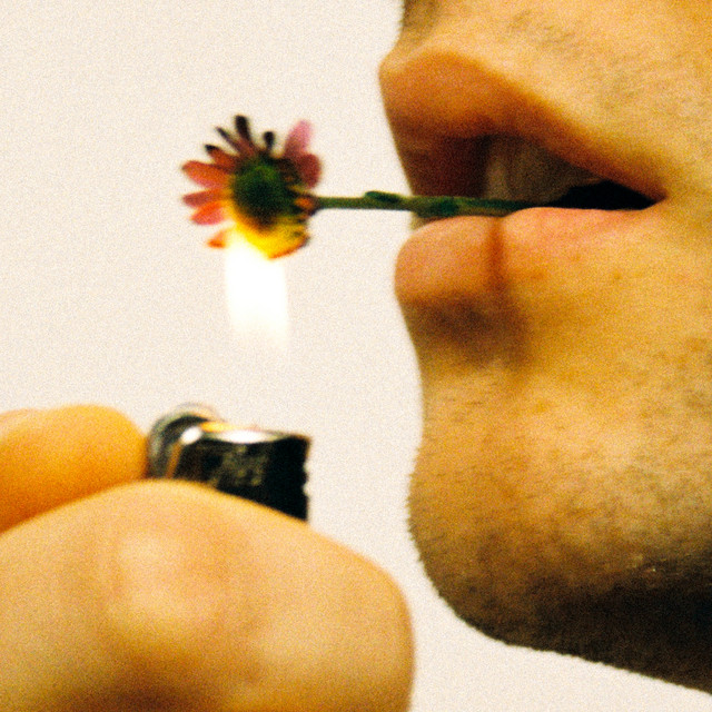 album image
