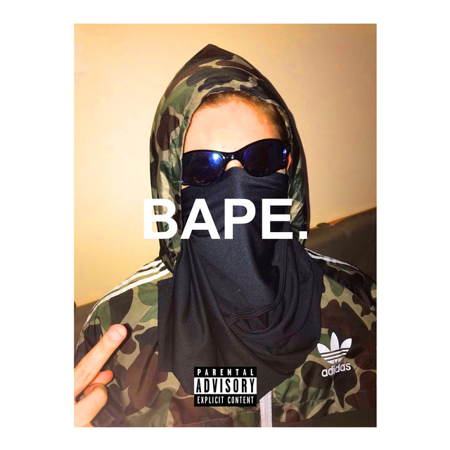 Bape cover