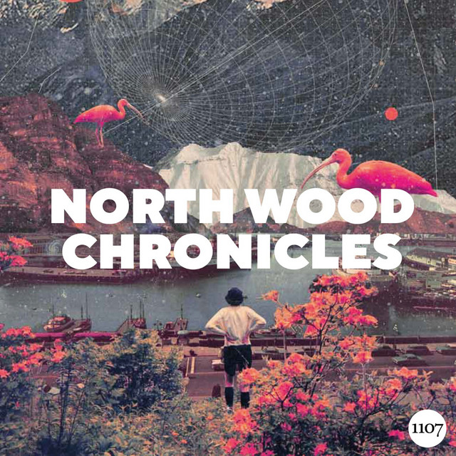 North Wood Chronicles cover art
