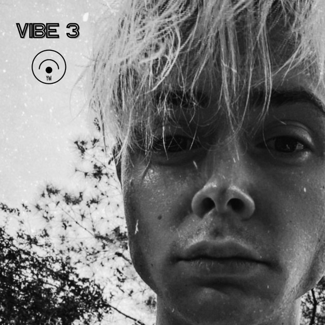 VIBE 3 cover art