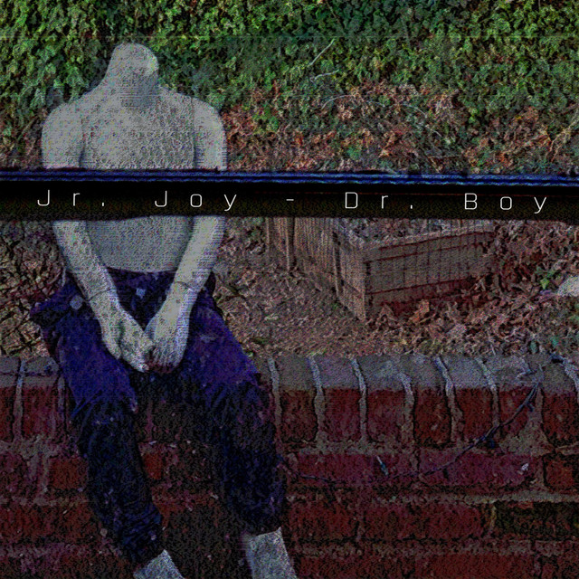Dr. Boy cover art