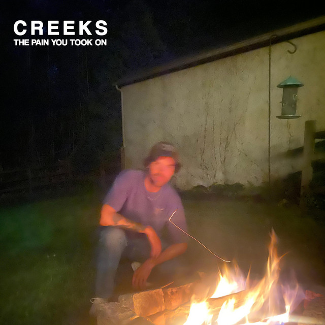The Pain You Took On cover art