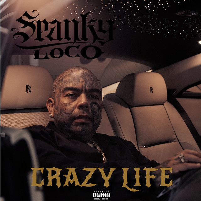 Crazy Life cover art