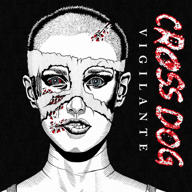 Vigilante cover art