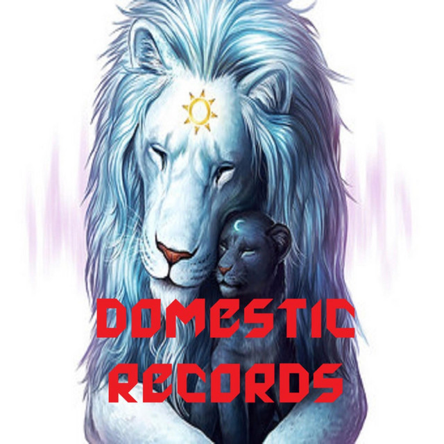 Domestic cover art