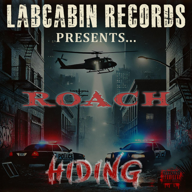 Hiding cover art