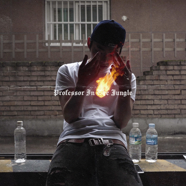 Professor In The Jungle cover art