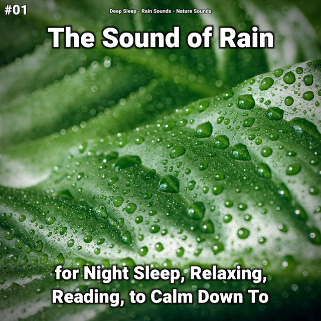 #01 The Sound of Rain for Night Sleep, Relaxing, Reading, to Calm Down To cover art