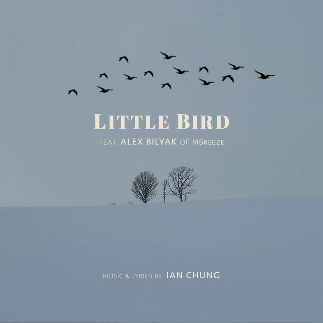 Little Bird