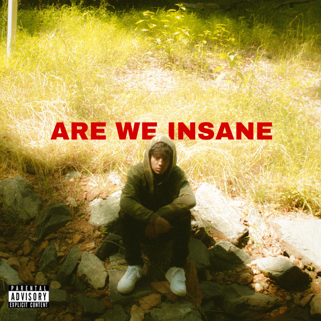 Are We Insane (Deluxe) cover art