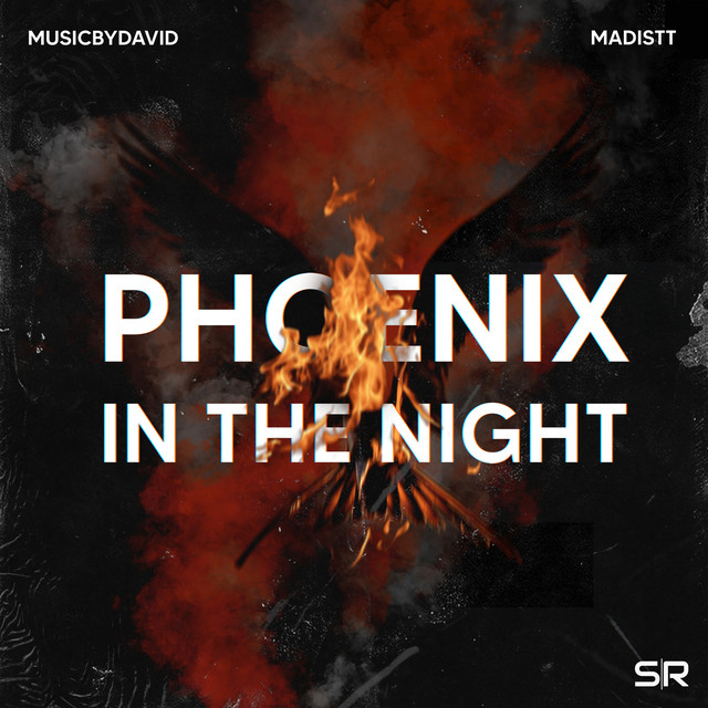 Phoenix in the Night cover art