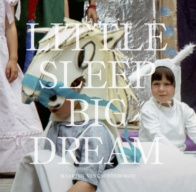 Little Sleep Big Dream cover art