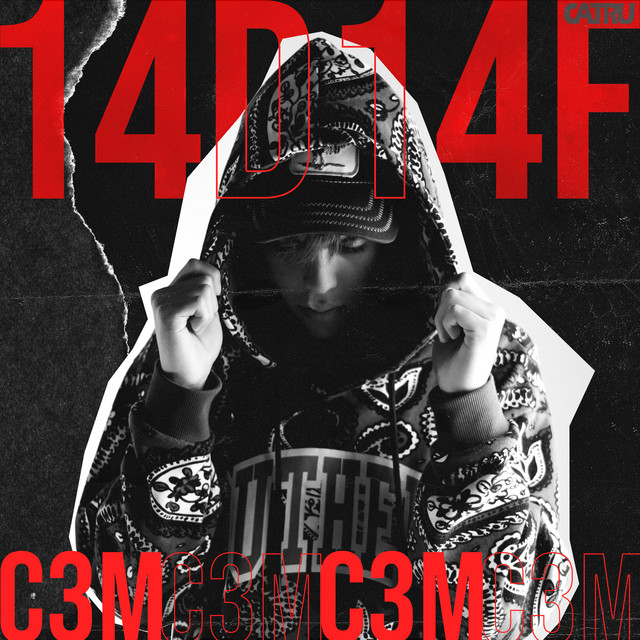 14 Días Después del 14 de Febrero cover art
