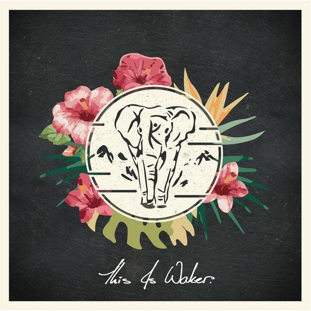 This Is Waker cover art