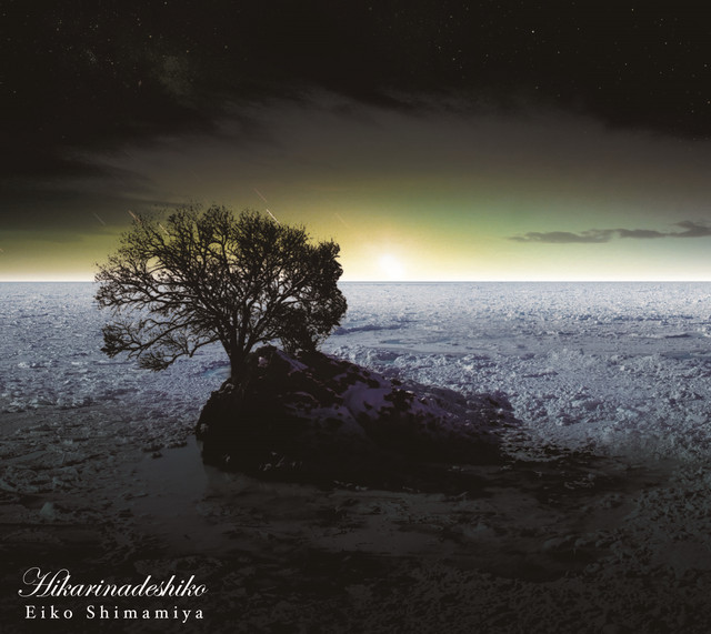 Hikarinadeshiko cover art