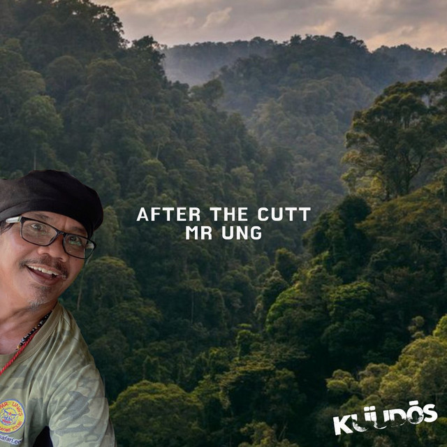 Mr Ung album art
