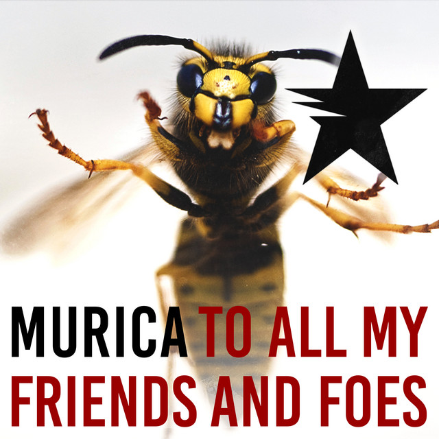 To All My Friends And Foes cover art