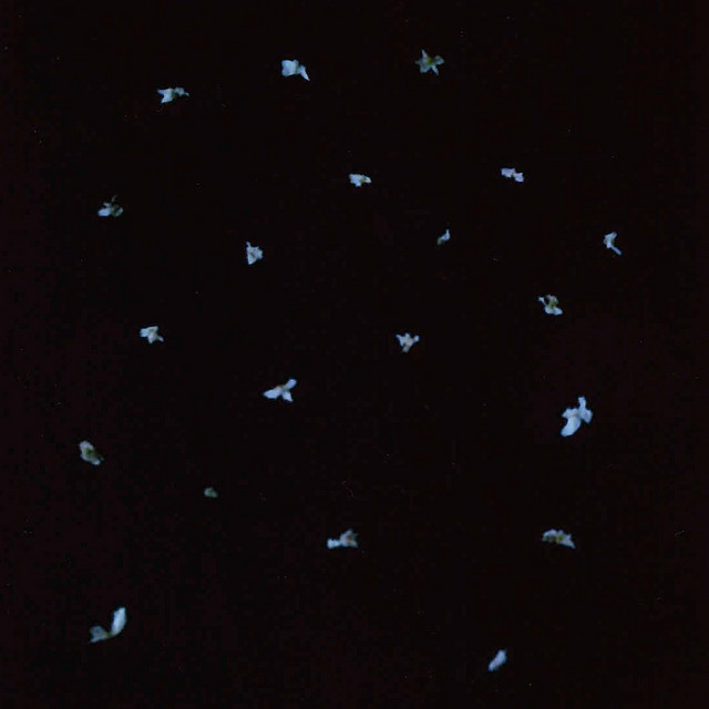 Haukijärvi cover art