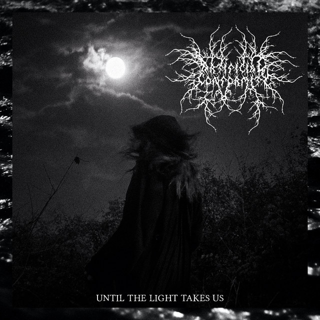 Until the Light Takes Us cover art