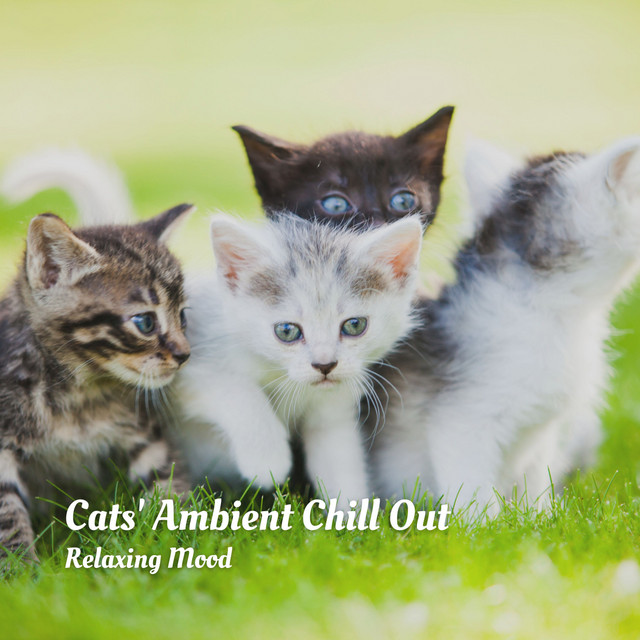 Cats' Ambient Chill Out: Relaxing Mood cover art