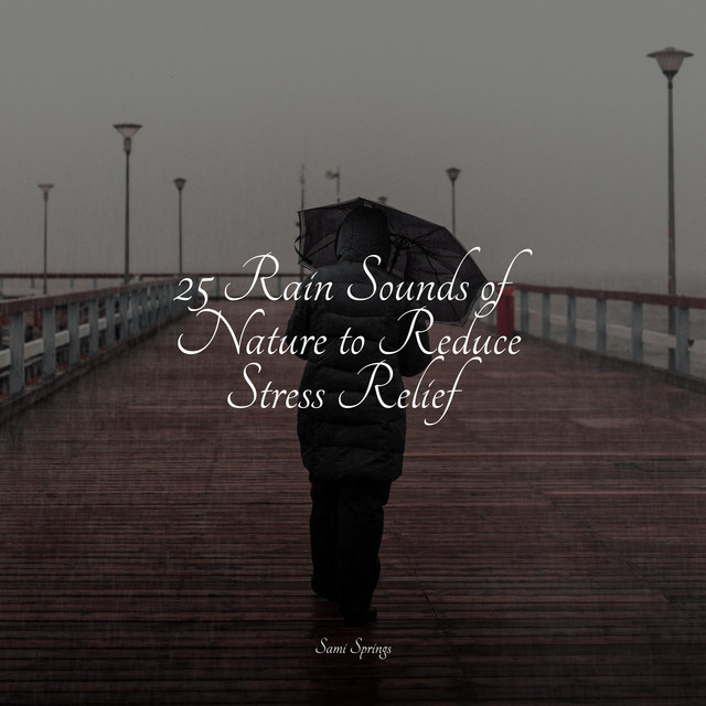 25 Rain Sounds of Nature to Reduce Stress Relief - Album by Asian Zen ...