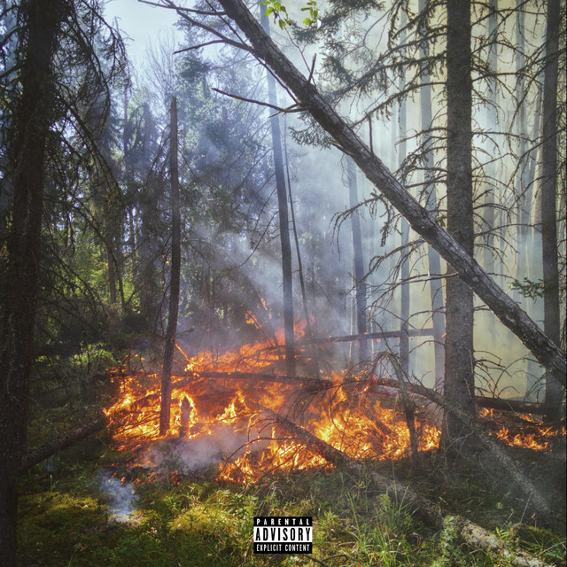 Damage Control cover art
