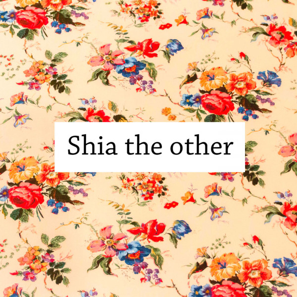 Shia The Other