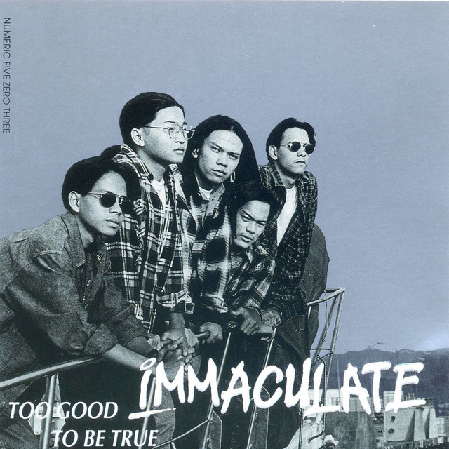 Too Good to Be True cover art