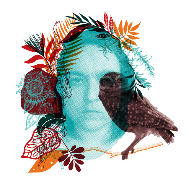album image