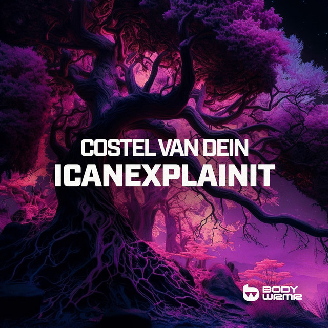 Обкладинка: ICANEXPLAINIT — Costel Van Dein