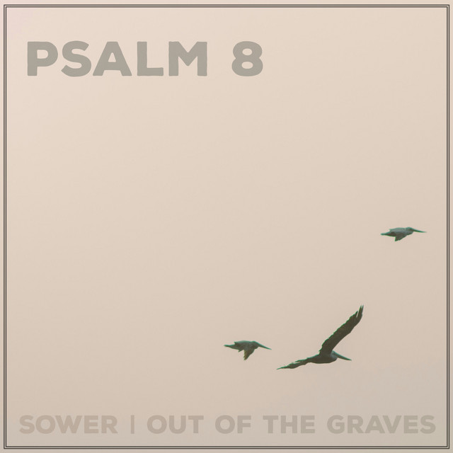 Psalm 8 cover art