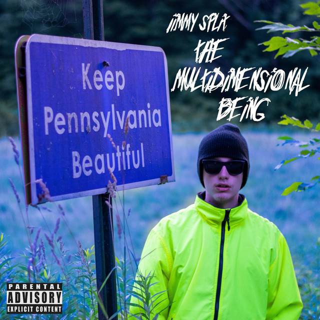 The Multidimensional Being cover art