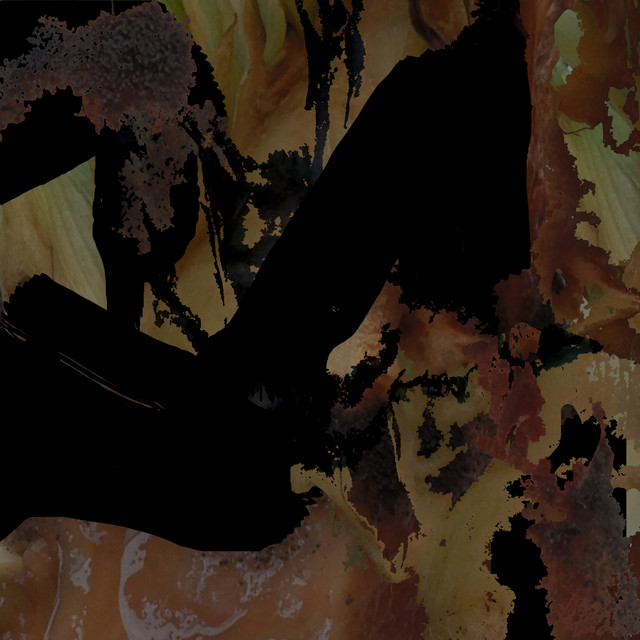 Cycles & Decay cover art