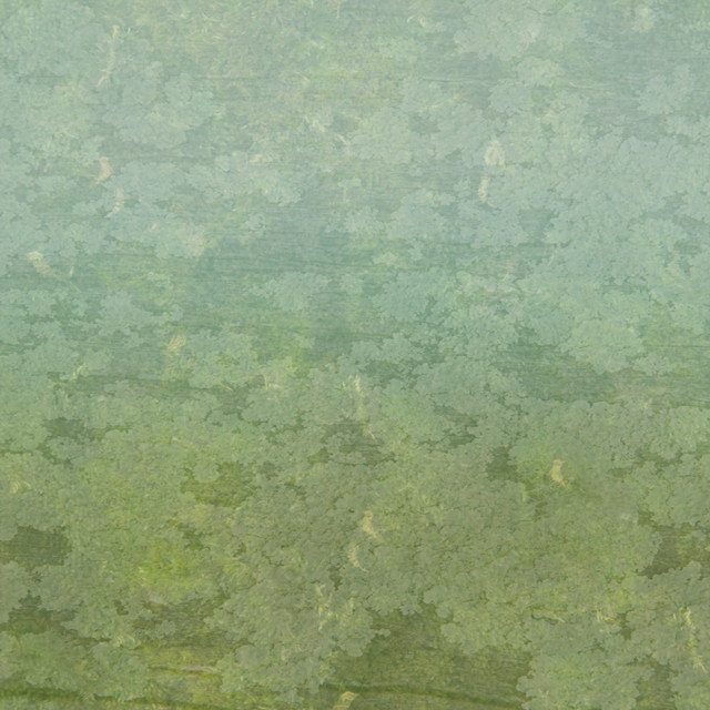 Stoner Lake in G cover art