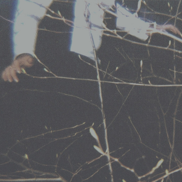 The Wilderness cover art