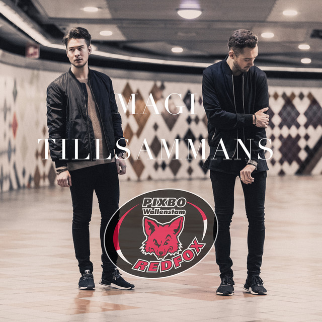 TILLSAMMANS (Special Edition) cover