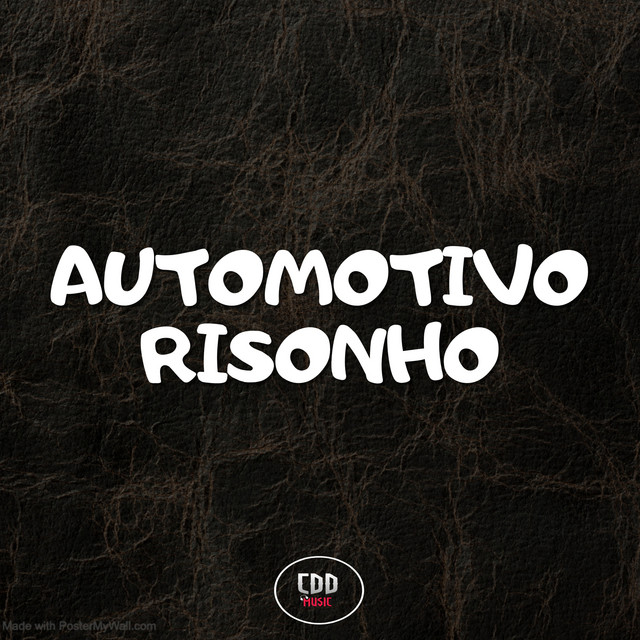 AUTOMOTIVO RISONHO
