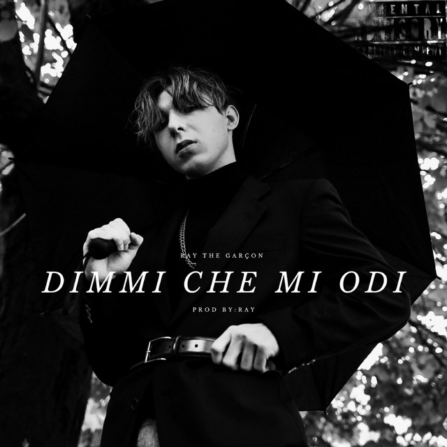 DIMMI CHE MI ODI cover