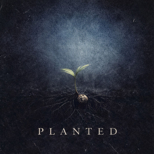 Planted - song and lyrics by Wavesofgracemusic | Spotify